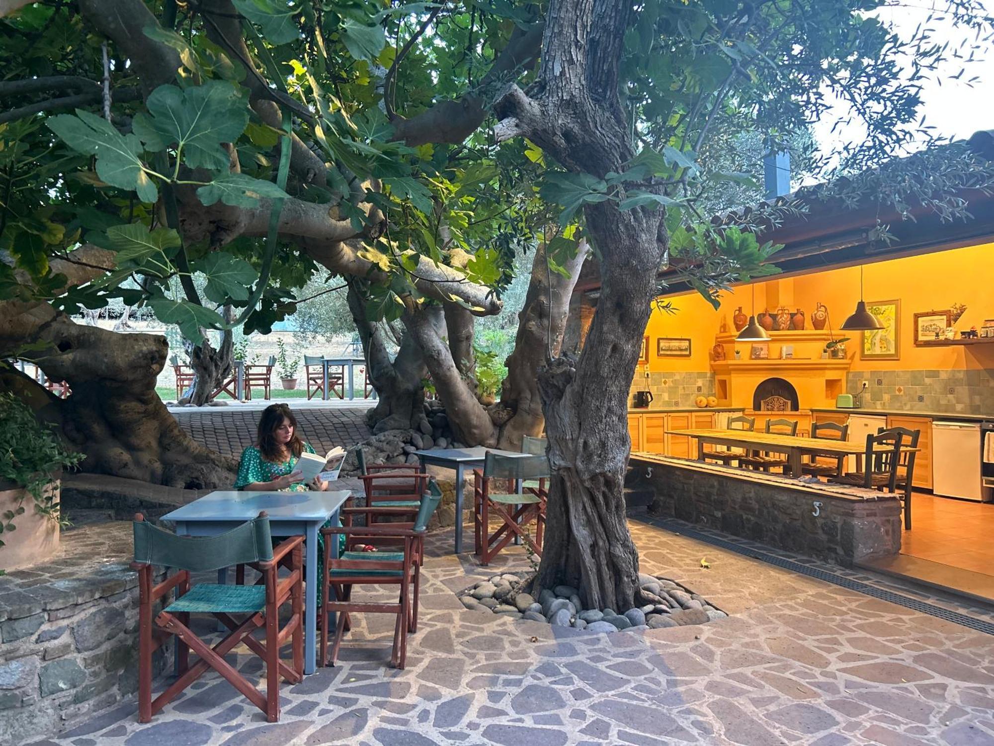 Villa Daphnis & Chloe Pyrgi Thermis Exterior photo